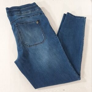 Democracy "Ab" Technology Distressed Pull On Skinny Jeans